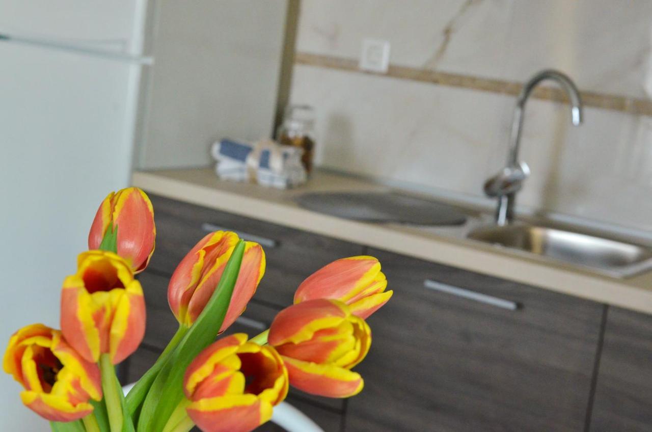 Apartmani Peric 1 Meka Draga Obrovac Extérieur photo