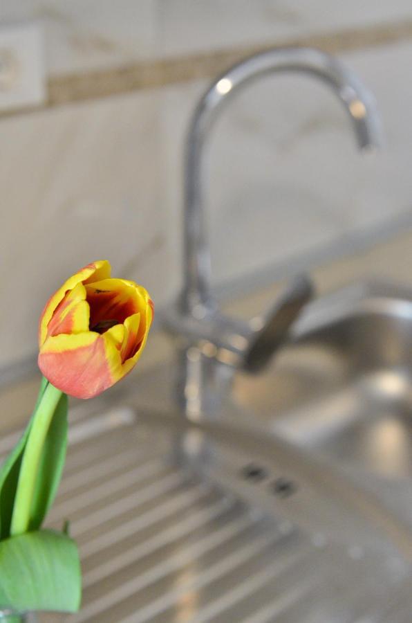 Apartmani Peric 1 Meka Draga Obrovac Extérieur photo
